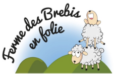 Brebis